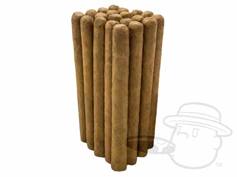 Dominican Nude Bundle Presidente Connecticut
