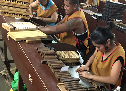 workers rolling cigars